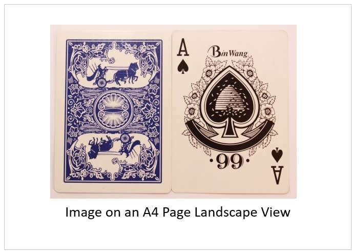 `Playing Cards: Bin Wang Ace of Spades` Original Digital Download Stock Photo