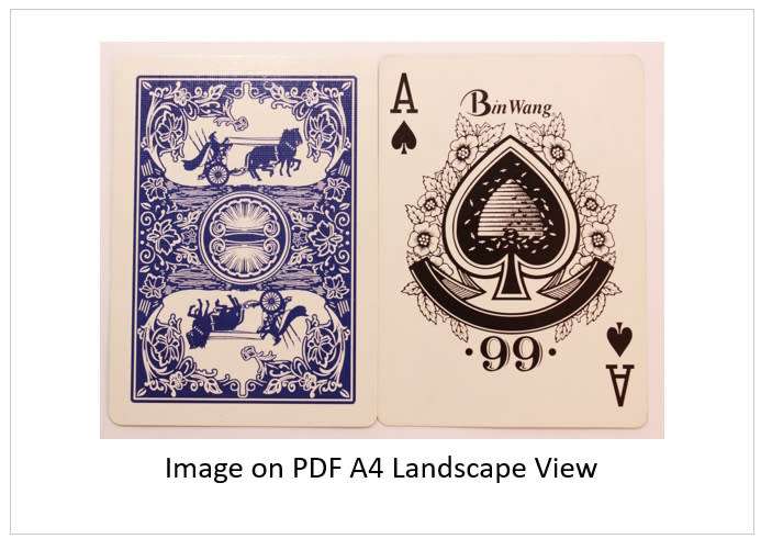 `Playing Cards: Bin Wang Ace of Spades` Original Digital Download Stock Photo
