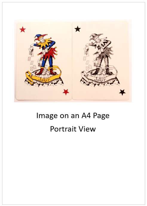 `Playing Cards: Jokers In The Pack.` Original Digital Download Stock Photo