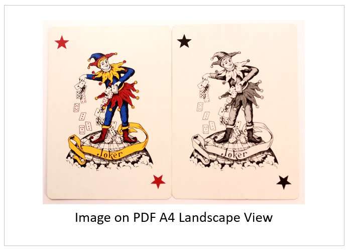 `Playing Cards: Jokers In The Pack.` Original Digital Download Stock Photo