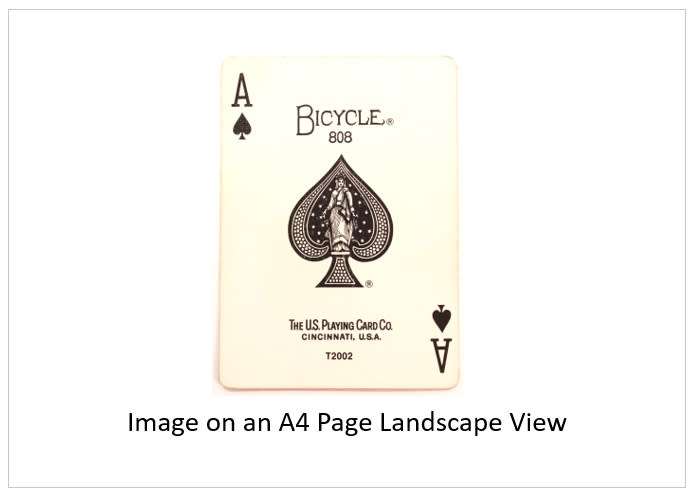 `Playing Cards: Ace Of Spades by Bicycle 808` Original Digital Download Stock Photo