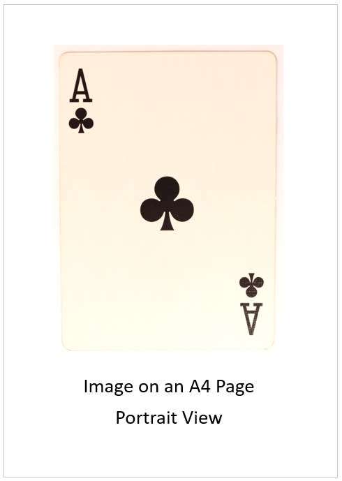 `Playing Cards: Ace Of Clubs` Original Digital Download Stock Photo