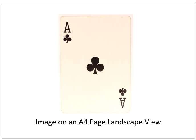 `Playing Cards: Ace Of Clubs` Original Digital Download Stock Photo
