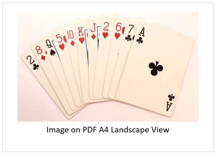 `Playing Cards: Eleven Card Rummy Hand` Original Digital Download Stock Photo