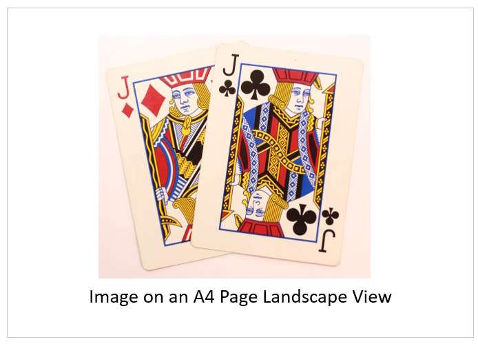 `Playing Cards: Pair of Jacks, Two Of A Kind` Original Digital Download Stock Photo