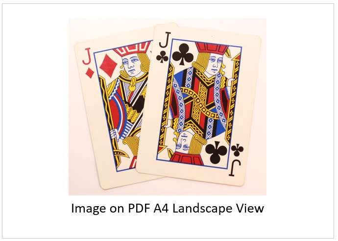 `Playing Cards: Pair of Jacks, Two Of A Kind` Original Digital Download Stock Photo