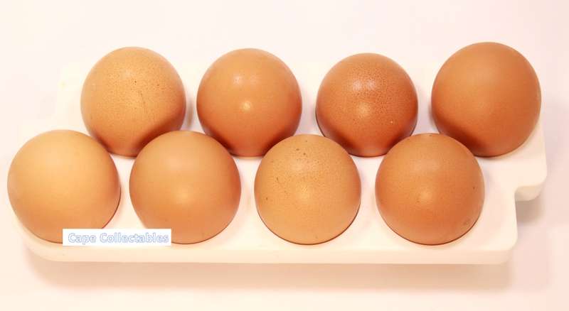 `Poultry Products: Fresh Eggs` Original Digital Download Stock Photo
