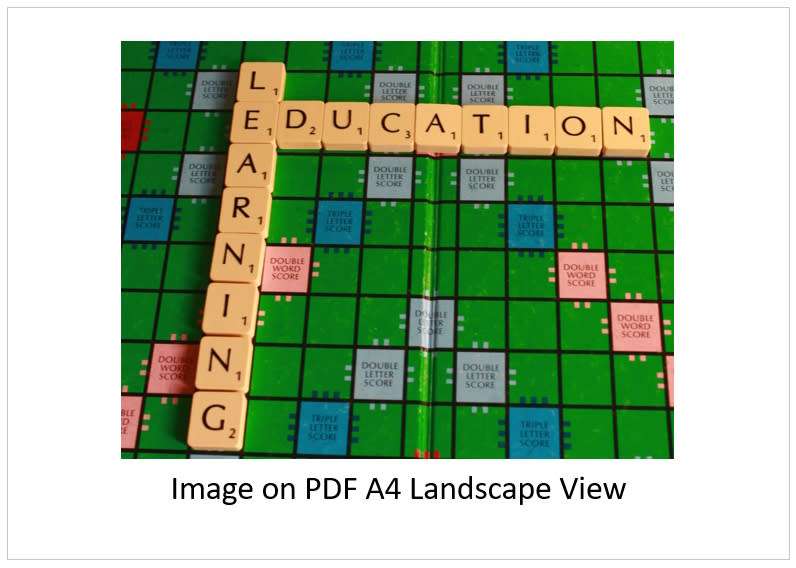 `Scrabble Board Words: Education Learning` Original Digital Download Stock Photo