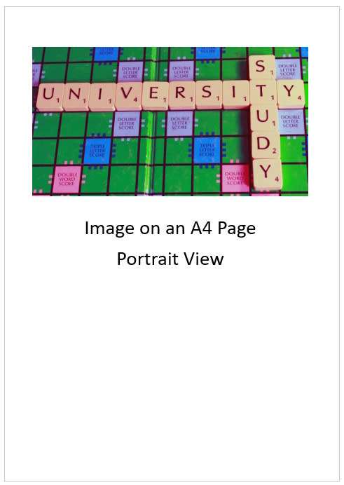 `Scrabble Board Words: University Study` Original Digital Download Stock Photo