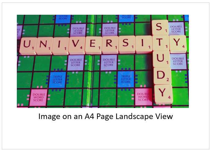 `Scrabble Board Words: University Study` Original Digital Download Stock Photo