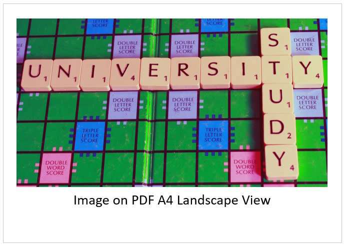 `Scrabble Board Words: University Study` Original Digital Download Stock Photo