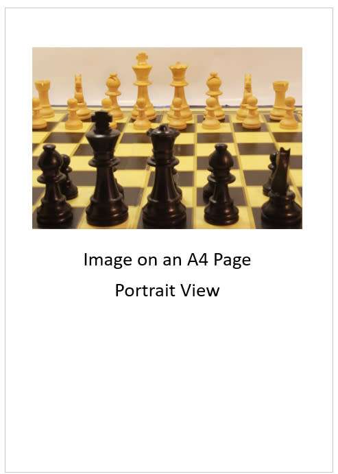 `Chess Board and Pieces Black Queen` Original Digital Download Stock Photo