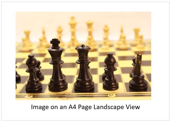 `Chess Board Pieces Black Queen, King and Bishops` Original Digital Download Stock Photo