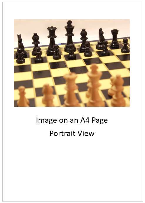 `Chess Board with Pieces Black King and Queen` Original Digital Download Stock Photo
