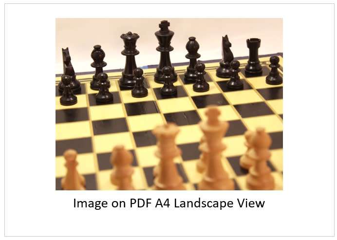 `Chess Board with Pieces Black King and Queen` Original Digital Download Stock Photo
