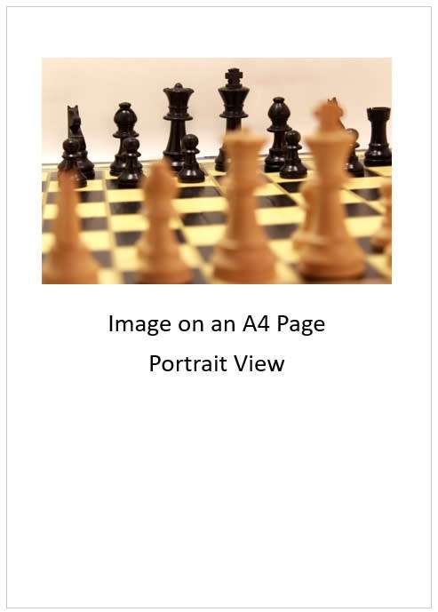 `Chess Board with Pieces Black King and Queen Behind Pawns` Original Digital Download Stock Photo