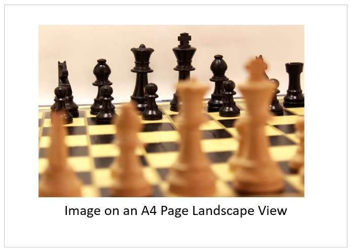 `Chess Board with Pieces Black King and Queen Behind Pawns` Original Digital Download Stock Photo
