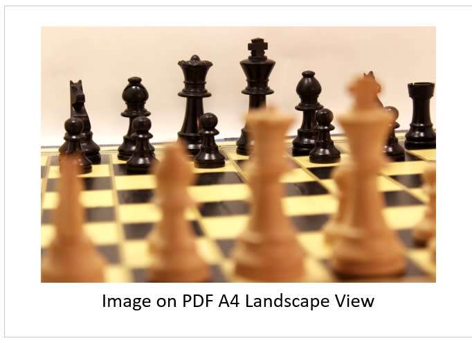 `Chess Board with Pieces Black King and Queen Behind Pawns` Original Digital Download Stock Photo