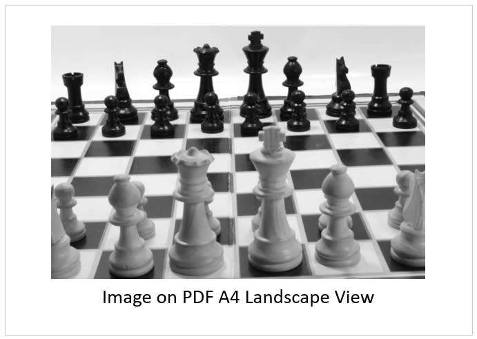 `Chess Board with Chess Pieces Achromatic Colour` Original Digital Download Stock Photo