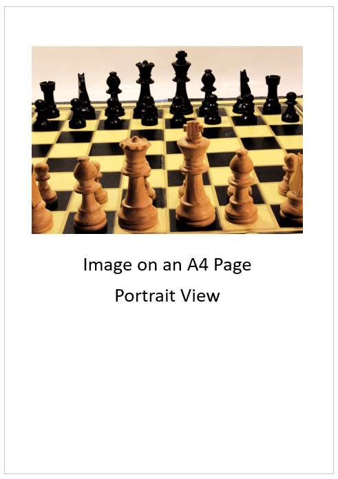 `Chess Board with Pieces Sketch Style Image` Original Digital Download Stock Photo