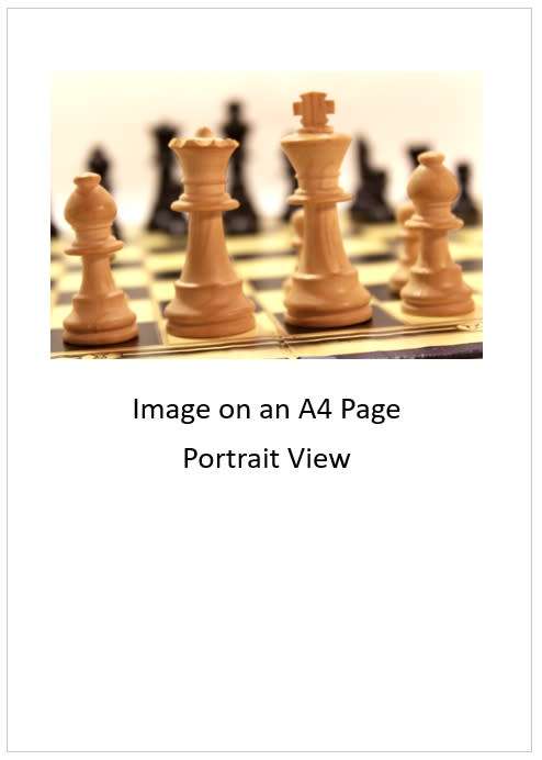 `Chess Pieces: Queen, King and Bishops` Original Digital Download Stock Photo