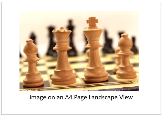 `Chess Pieces: Queen, King and Bishops` Original Digital Download Stock Photo