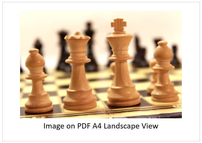 `Chess Pieces: Queen, King and Bishops` Original Digital Download Stock Photo