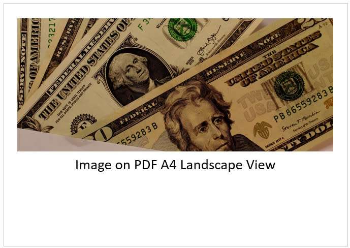`US Dollars Image` Original Digital Download Stock Photo