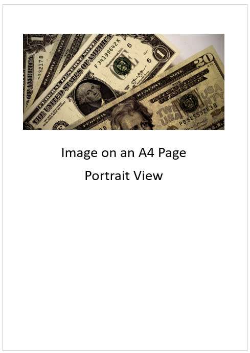 `US Dollars Sketch Image` Original Digital Download Stock Photo