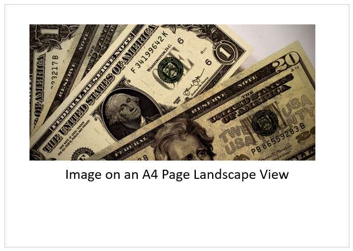 `US Dollars Sketch Image` Original Digital Download Stock Photo