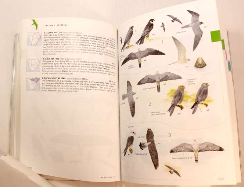 Sasol Birds of Southern Africa Softcover Book Third Edition