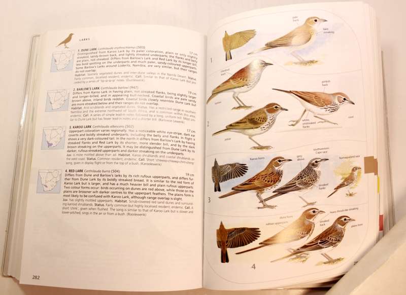Sasol Birds of Southern Africa Softcover Book Third Edition