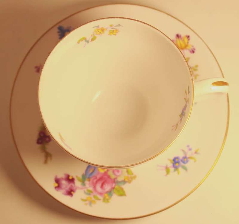 Spode Copeland`s Bone China Dresden Rose Y5741 Tea Cup, Saucer & Side Plate Trio