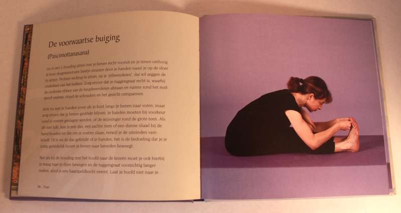 4 x Mind, Body and Spirit  Books Dutch Language (Chakra's, Boeddhisme, Yoga, De Alexander Techniek)