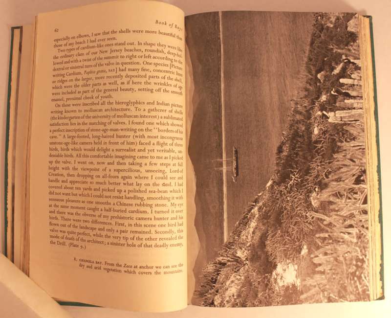 Book Of Bays by William Beebe Hardcover Book