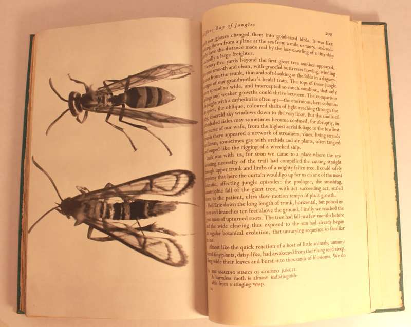 Book Of Bays by William Beebe Hardcover Book