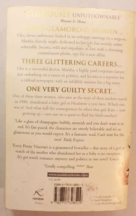 Sheer Abandon by Penny Vincenzi Softcover Book
