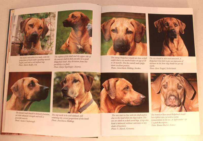 The Rhodesian Ridgeback Today by Stig G. Larson Hardcover Book
