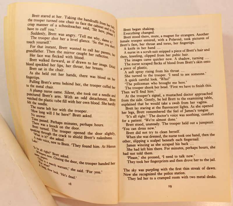 The Final Judgement by Richard North Patterson Softcover Book