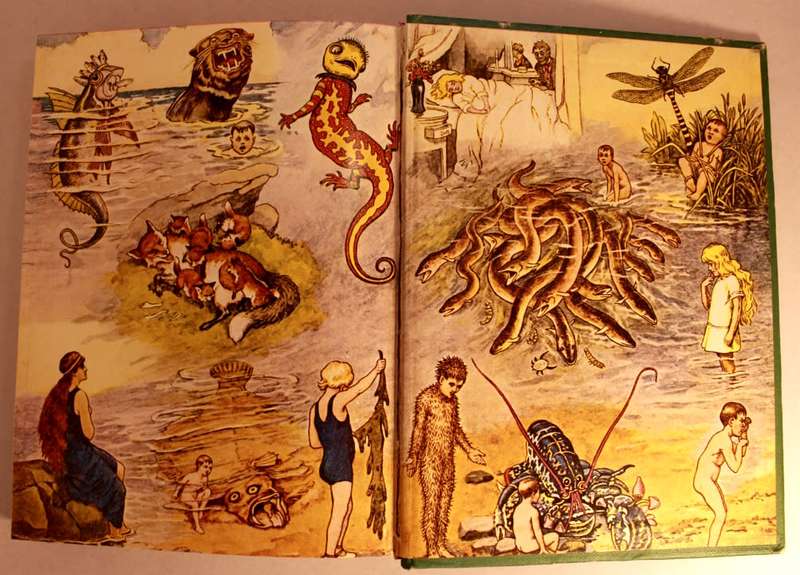 The Water Babies by Charles Kingsley Hardcover Book