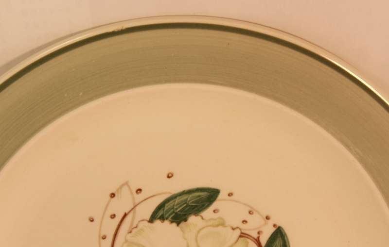 Susie Cooper Gardenia E2405 Luncheon Plate 22.5cm