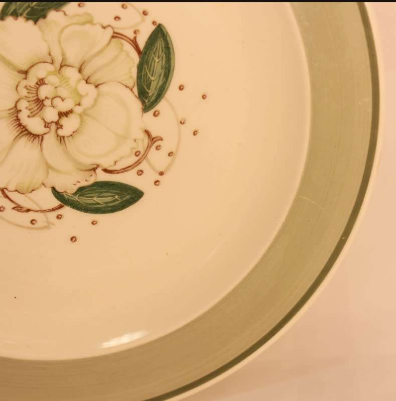 Susie Cooper Gardenia E2405 Luncheon Plate 22.5cm