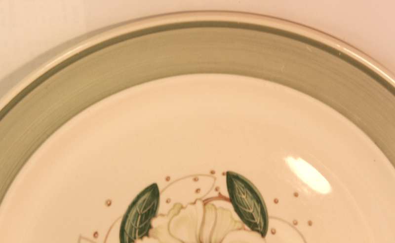 Susie Cooper Gardenia E2405 Entree Plate 25.0cm