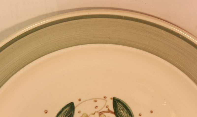 Pair Of Susie Cooper Gardenia E2405 Entree Plates 25.0cm