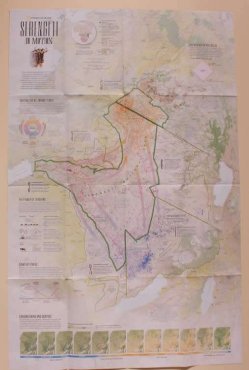 National Geographic Folded Map Serengeti In Motion Sept 2021