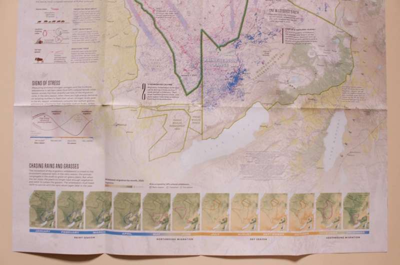 National Geographic Folded Map Serengeti In Motion Sept 2021