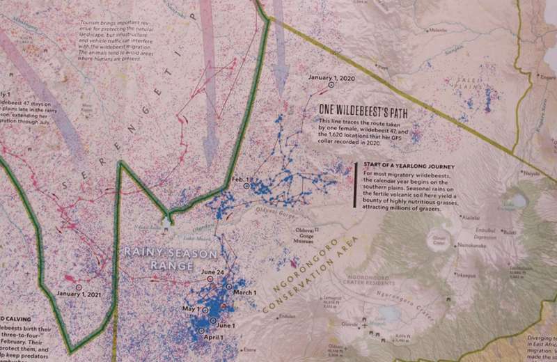 National Geographic Folded Map Serengeti In Motion Sept 2021