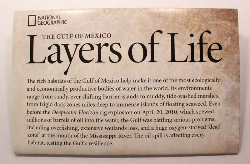 National Geographic Folded Map The Gulf Of Mexico A Geography Of Offshore Oil 2010