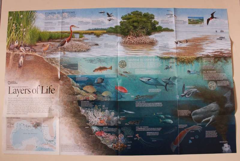 National Geographic Folded Map The Gulf Of Mexico A Geography Of Offshore Oil 2010