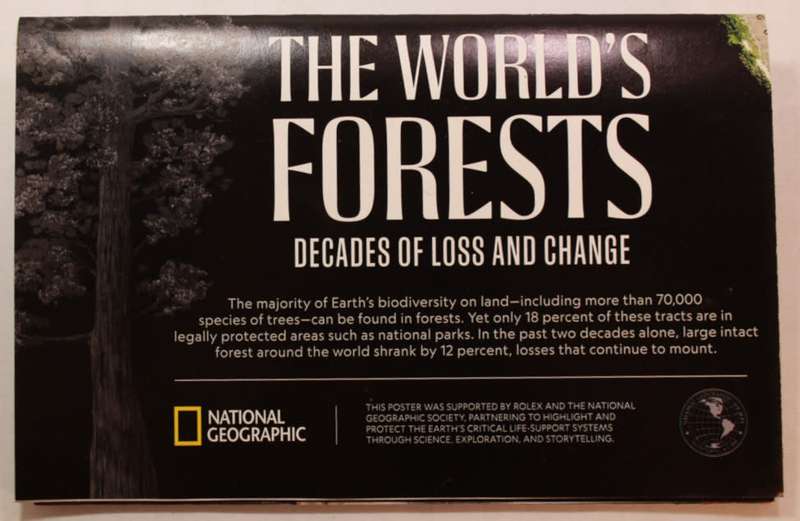 National Geographic Folded Map The Worlds Forests May 2022